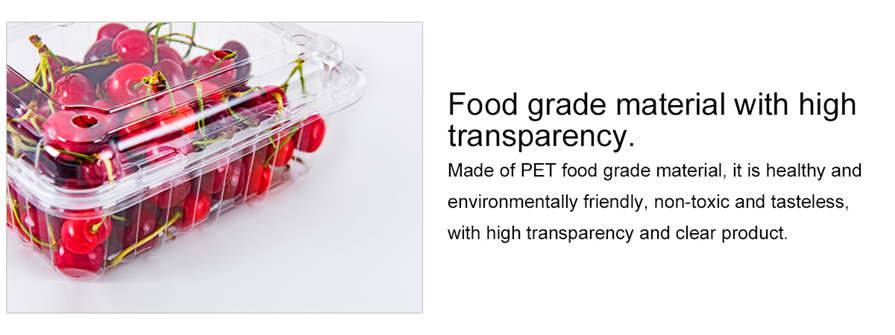 Plastic container fruit