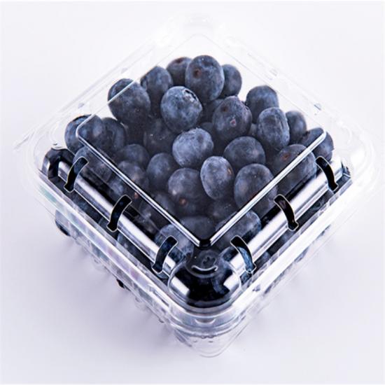 125g Blueberries clamshell box