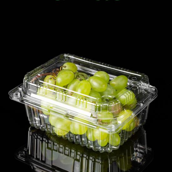 7.87" Take Out Container Sushi Cookie Fruit 50 Clamshell Container with Locking 