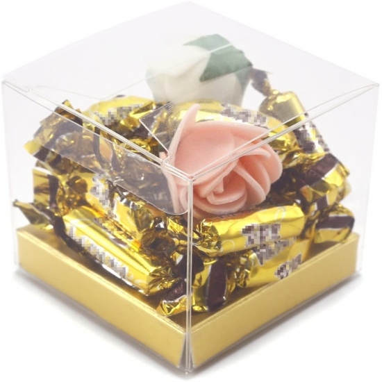 Clear cake plastic packaging box