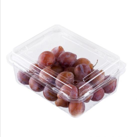 Plastic containers for fruit